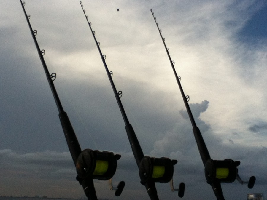 Kite Fishing in Miami - New Moon Sportfishing